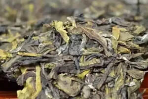 帝芙特百科解析：普洱茶老黄片