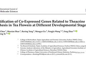 蒂芙特说茶：苦茶树花不同发育时期苦茶碱合成相关共表达基因鉴定