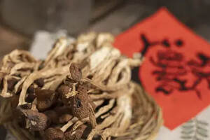 干茶树菇图片