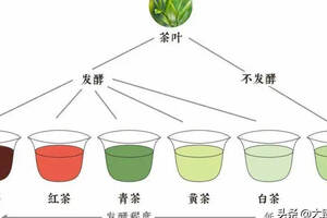 六大茶类的发酵程度及特点（大臻论茶318）