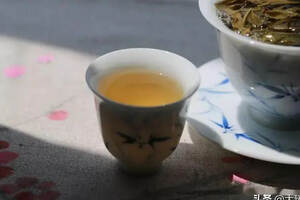 普洱茶让人着迷的原因是些什么？｜茶文化