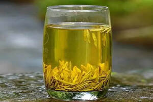 传奇黄茶，成就于阴差阳错的“平阳黄汤”，黄汤黄叶黄底，玉米香