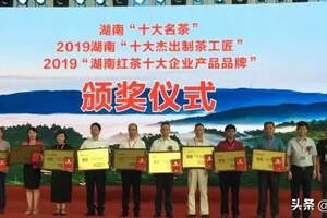 2019第十一届湖南茶业博览会开幕