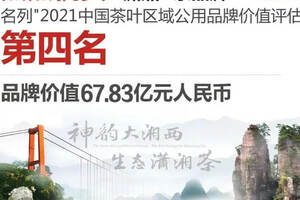 67.83亿元！“潇湘”茶品牌