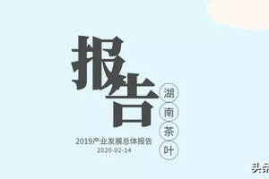 茶情 | 2019湖南茶叶产业发展总体报告