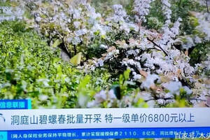 广州茶博会2021年时间表秋季