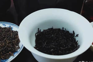 大臻论茶266：熟茶原料的季节选择