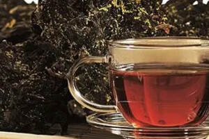 普洱熟茶的“金丝”与茯砖茶的“金花”，是同一种物质吗？