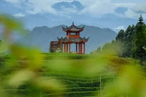 藏不住的美 | 四川生态宜居名村，红星镇骑龙村榜上有名