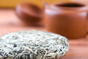 白茶中的一股清流“九龙大白茶”，来自福建松溪的白马王子