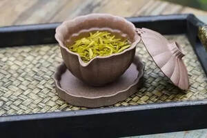 茶之源与茶文化的传播（印度）