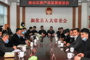 新化红茶产业发展座谈会举行