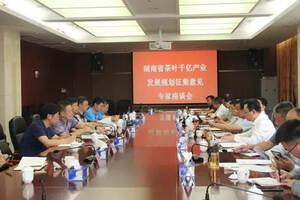 湖南省千亿茶叶产业高质量发展规划(2020-2025)专家座谈会召开