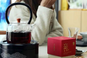 春节居家喝茶指南