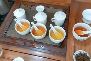 茶文化茶净，茶静（南平 茶文化 茶产业 茶科技）
