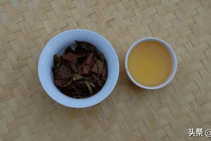磨烈白｜行者品茶(138)