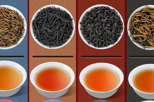 斯里兰卡红茶品种