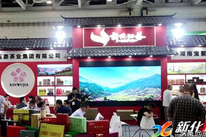 新化县组团参加2020年第十二届湖南茶叶博览会