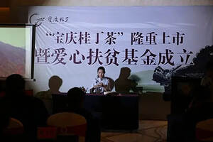 “宝庆桂丁茶”隆重上市暨爱心扶贫基金成立仪式今天举行