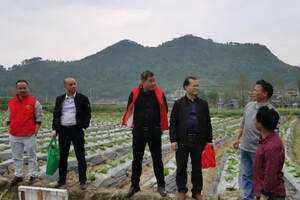 邵阳市农科院院长罗华赴新宁调研指导,确保农业生产稳中求进发展