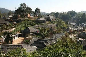 后起之秀：勐海茶区八大普洱茶山，历史和口感综述