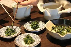 长安第绿茶