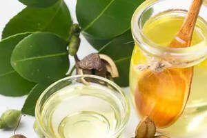 素有“东方橄榄油”之称的茶油，有何特殊之处？
