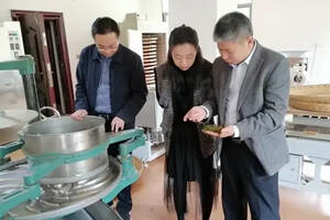 湖南：省茶叶研究所专家前往新化指导制茶