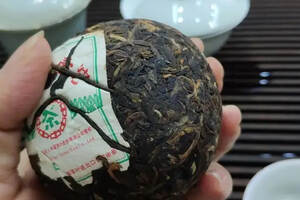 普洱丨再喝中茶第一沱：曾经表现平平的茶，可能忽然大放异彩