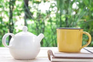 福鼎白茶和政和白茶的区别（福鼎白茶和政和白茶有什么区别,哪个正宗）