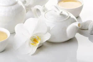 夏季饮白茶，新茶毫香清甜，老茶药香浓郁，红枣陈皮最佳组合
