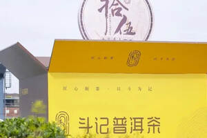 斗记普洱茶15周年庆，巨型「拾伍」茶箱空降南方茶叶市场