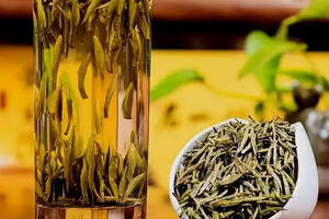 湖南不是只有安化黑茶，这种茶其实也有浓厚的文化底蕴（下）