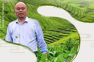 湖南省红茶产业发展促进会会长直播首秀，展“湖南红茶”品牌魅力