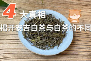 白茶的保质期长达15年，为什么到了安吉白茶这里，只有12个月？