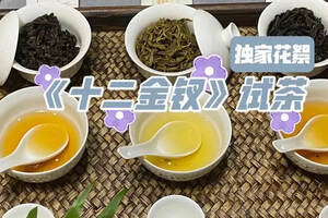 黄大特茶玉米须茶是什么茶