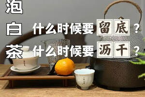 盖碗、煮茶壶、玻璃杯泡白茶，哪些要“留底”？哪些要“沥干”？