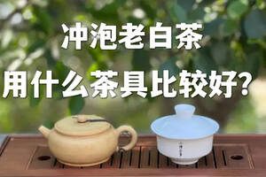 紫砂壶泡醇，白瓷盖碗泡香？冲泡老白茶用什么茶具才好？