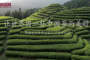 环球网专访｜品品香茶业董事长林振传：让世界因一杯中国茶而美好