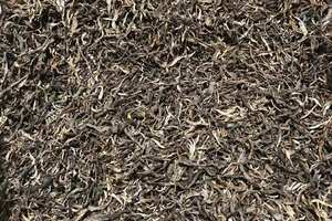 2021年班盆老树茶所产茶叶的口感清香味浓，细细品味