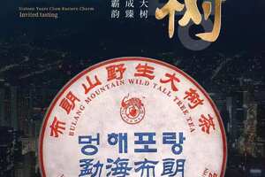 2005年象明茶厂出口韩国布朗山野生大树茶，条索粗壮