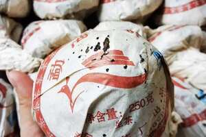 2015年勐海沱茶厂250克蘑菇沱，干仓