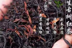 千年古树野生红茶（千年古树野生红茶的口感特点）