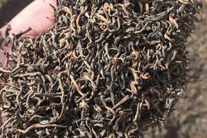 98年勐海古树宫廷熟茶，陈香浓醇，完美转化！
