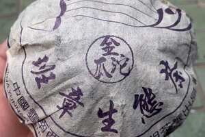2012年永明茶厂班章金瓜沱，干茶就特别香，撬开也是