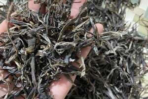 2021年大雪山古树生散茶，此款茶最显著特点为“野韵