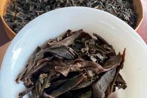 01年布朗山老生茶，烟味超级重的散生茶收藏