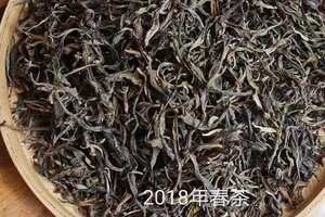 2013年大雪山古树茶价格