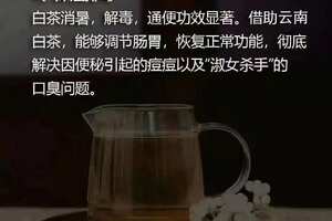 云南白茶，有红茶的甜爽，普洱茶的厚重，老白茶的韵味，