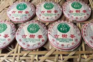 临沧古树茶最新价格